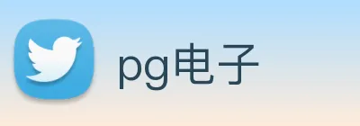 pg电子 logo